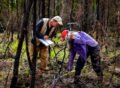 Inside the quest to combat Arctic fires and save the planet’s frozen carbon