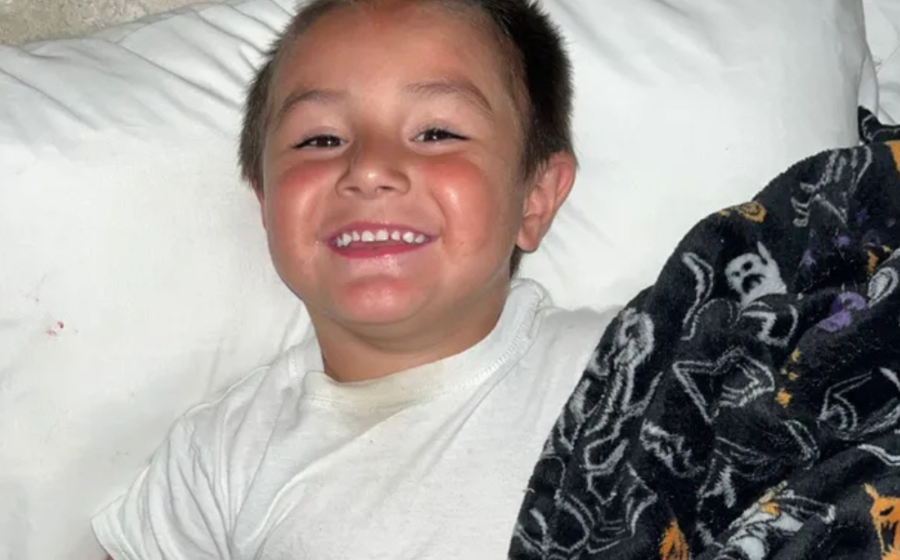 Mom says thieves stole her purse with life-saving medicine from back of son’s wheelchair at Texas State Fair