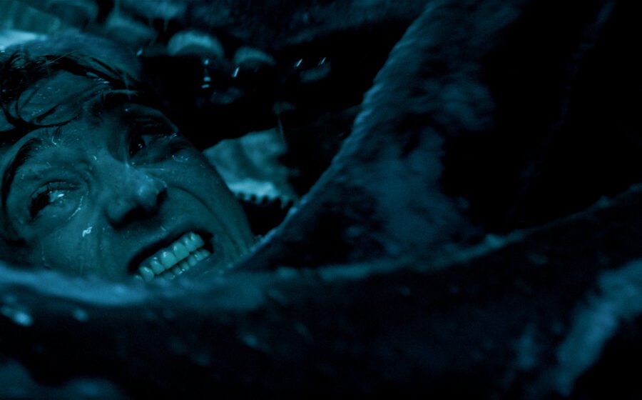 Whalefall Is the Most Disgusting Tearjerker You'll See This Year