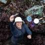 Marine biologists discover new plankton off Oregon coast