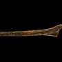 Wood beneath German lake may reveal buildings 3,000 years older than region's first farms
