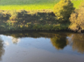 Fuel leak spreads more than two miles along River Taff