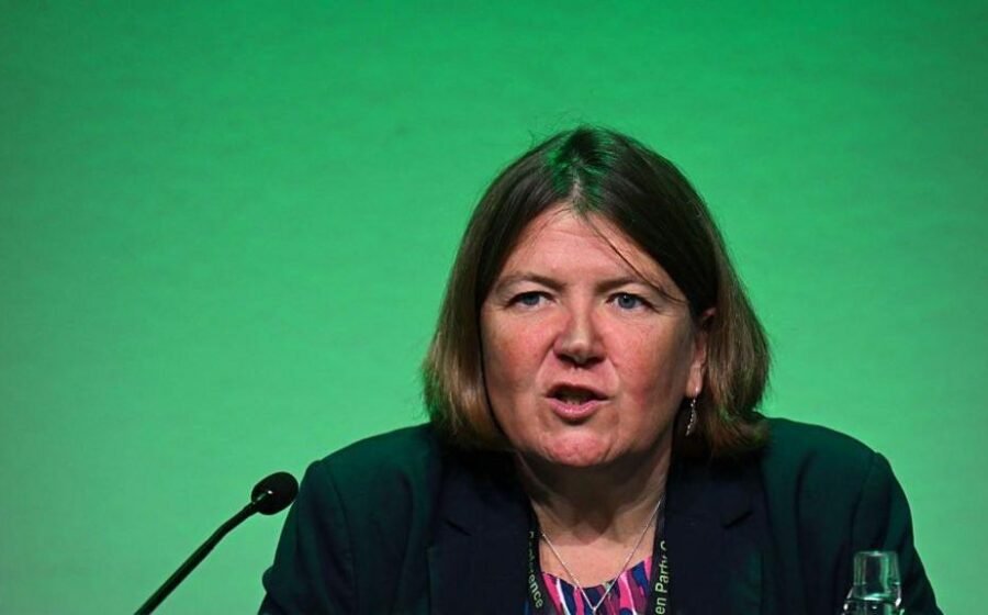 Green Party MP wants to make sure it is 'not vulnerable to extremists'