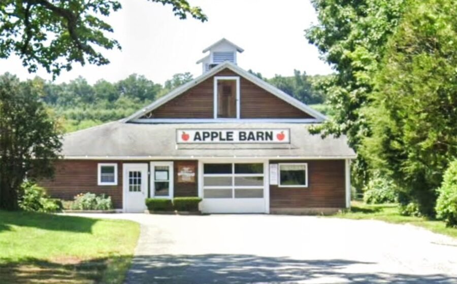 Connecticut orchard outraged after hot air balloon swiped an apple from the sky