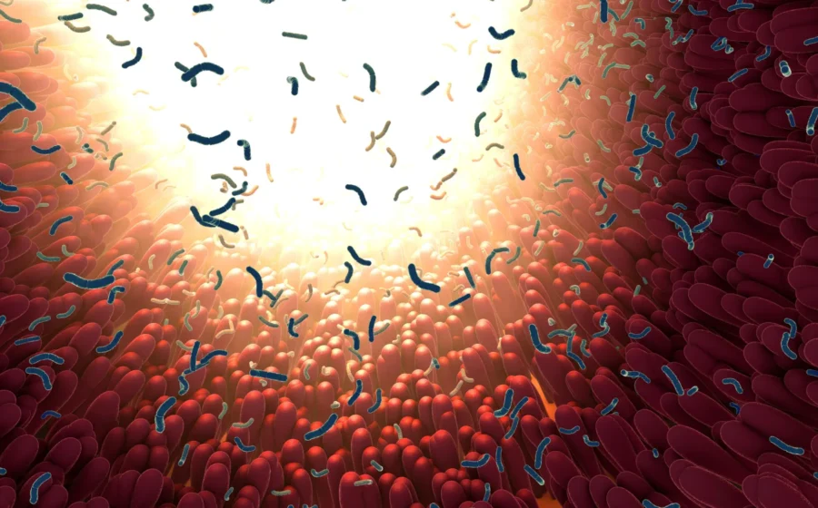 Taking antibiotics? Sugar may be making the damage worse