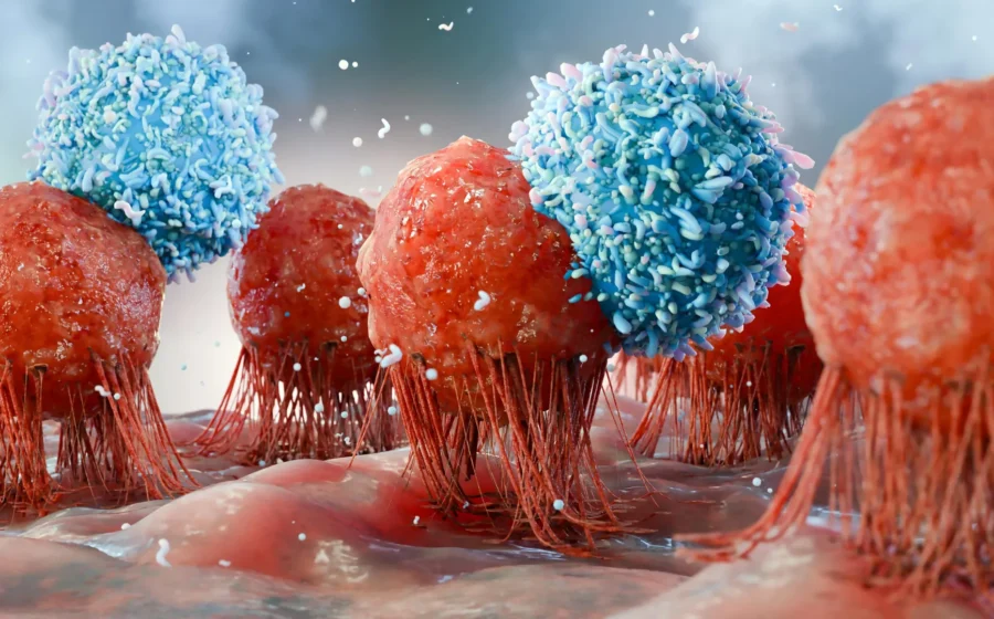 USC scientists discover how to create a never-ending supply of cancer-fighting cells