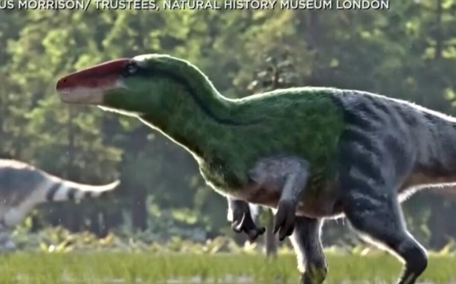 Animation depicts newly-discovered dinosaur species
