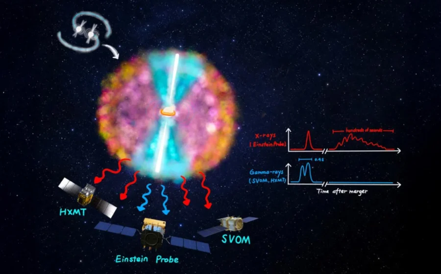 Einstein Probe reveals a hidden phase of neutron star collisions
