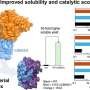 First bacterial galactose oxidase expands toolkit for greener drug and food ingredient production