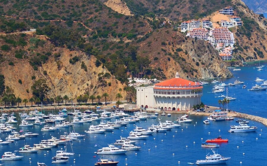 2 dead, 2 injured,1 missing after Catalina Island helicopter crash