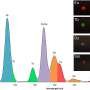 Glowing liquids could help protect products from counterfeiters using distinctive ultraviolet light signatures