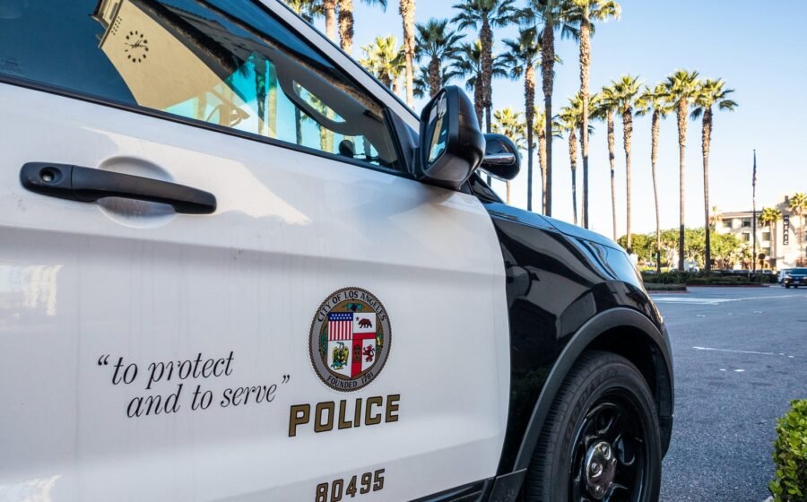 Beloved French bulldog stomped to death by burglars who broke into home as family slept, police say