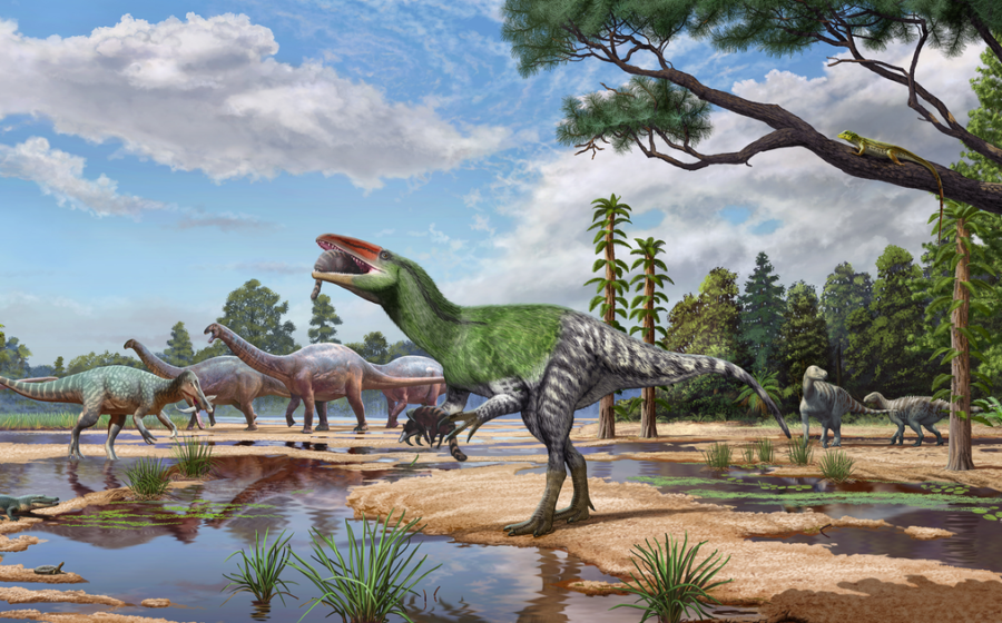 Fossil overlooked for 100 years ID'd as new dinosaur species
