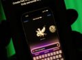 What is Apple's Image Playground app for and how do you use it?