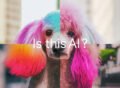 How to use Google's SynthID AI detection website