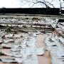 WHO urges action on lead poisoning dangers