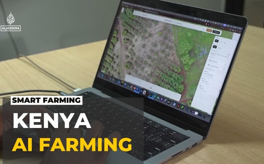 Kenya’s AI-powered farms: Farmers use technology to tackle challenges