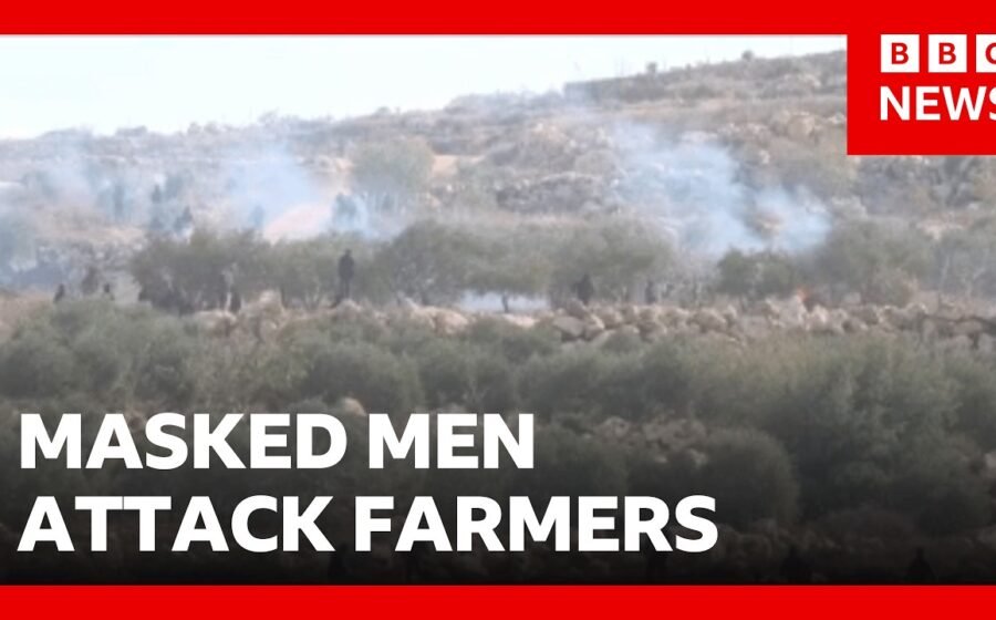Jewish settlers attack Palestinian olive farmers in West Bank | BBC News