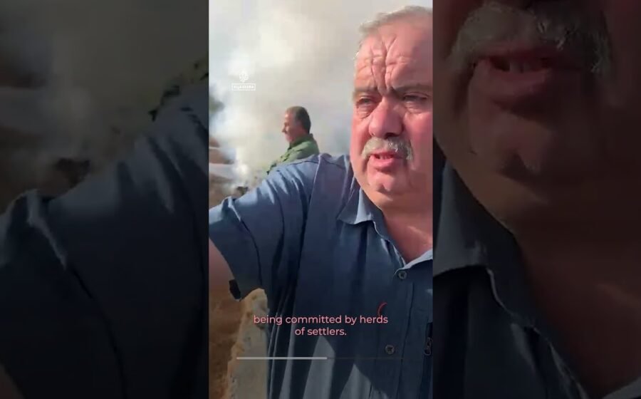 Palestinian olive trees torched as settler pogroms escalate during harvest | AJ #shorts