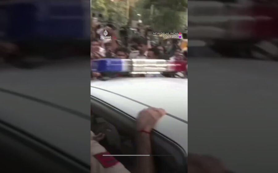 India police detain ‘Cockroach’ party founder ahead of protest | AJ #shorts