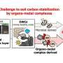 Metal-organic interactions identified as a key factor in carbon cycling, improving predictions under climate change