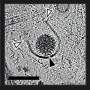 'Molecular movie' fills in blanks of how nonenveloped viruses infect cells