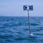 Scientists develop 'floating scarecrow' to protect threatened seabirds