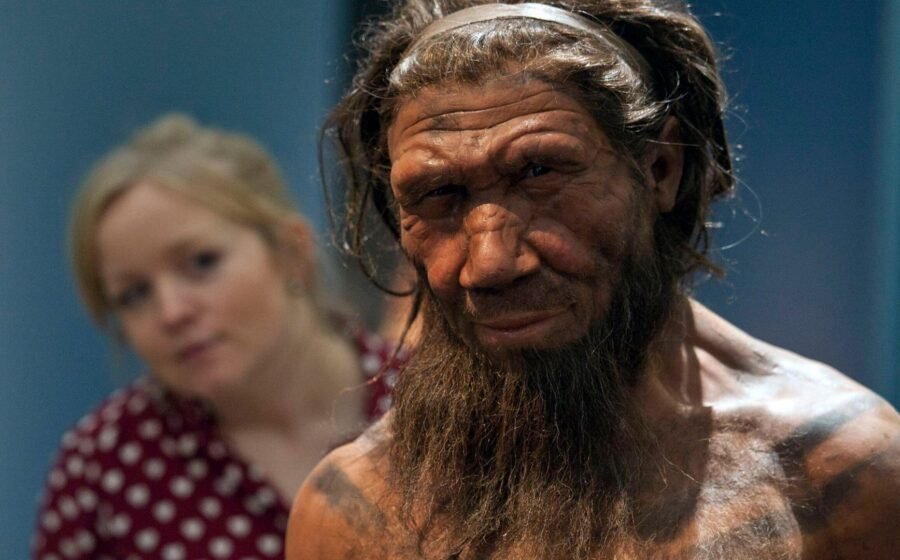 Neanderthals capable of both violence and care, bones from Iraqi cave suggest