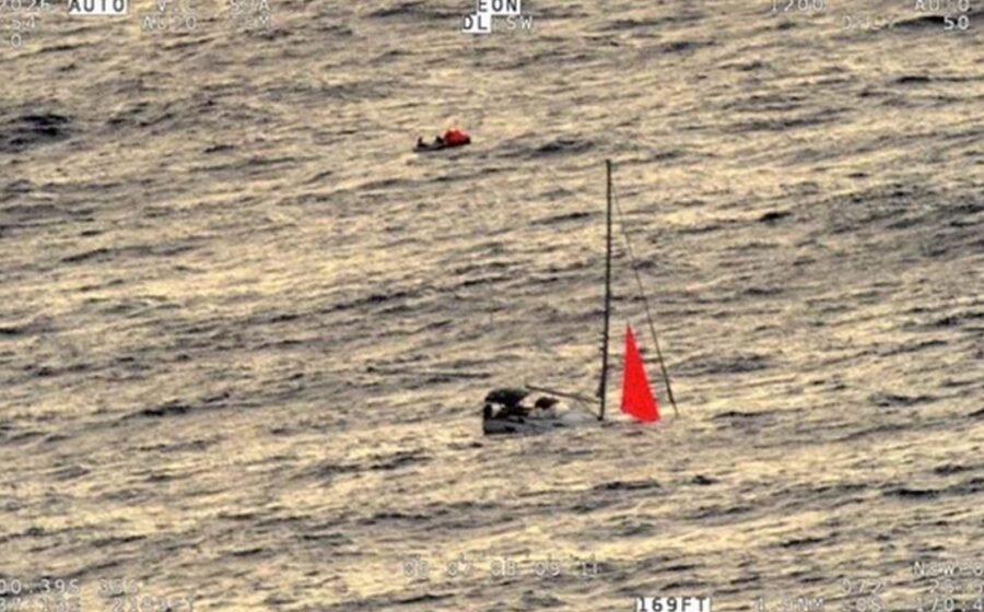 Gang of eight sperm whales sink yacht after ramming boat in South Pacific