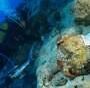 World's oldest shipwreck discovered off coast of Turkey